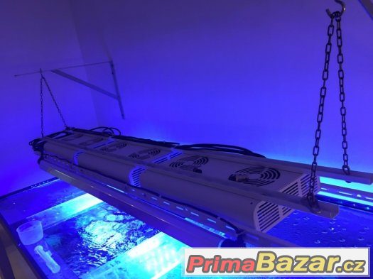 LED osvětlení pro mořská akvária, PC 75.000,-