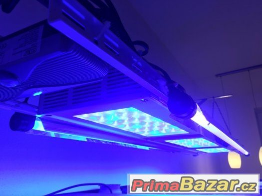 LED osvětlení pro mořská akvária, PC 75.000,-