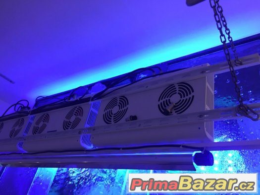 LED osvětlení pro mořská akvária, PC 75.000,-