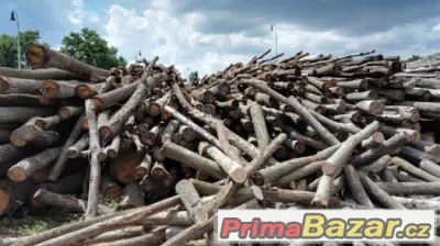 prodám 400ks dubových  kůlů/sloupků - kulatinky na ohrady