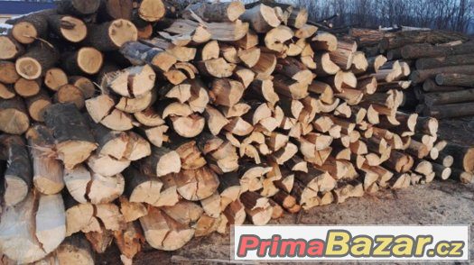 Suché palivové dřevo - Borovice/Modřín
