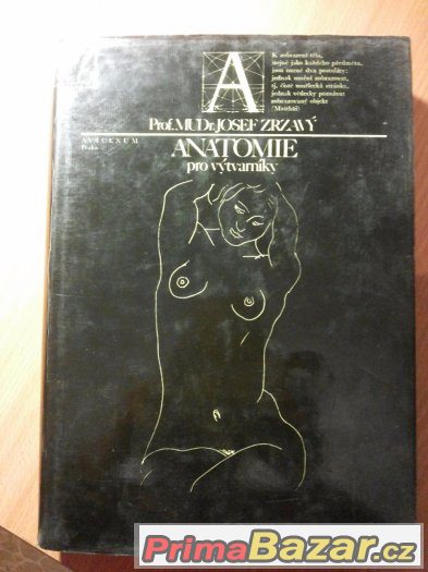 anatomie-pro-vytvarniky