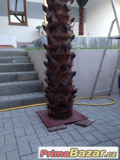 Umělá palma COCO TREE 4 metrová KRÁSNÁ NOVÁ PALMA