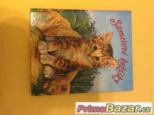 Kniha o kočičkách