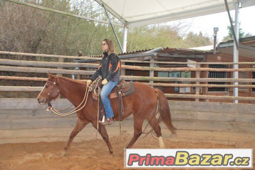 29. dubna - sobota - Horsemanship 2 a 3 kurz s Václavem Bořá