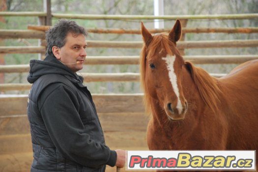 29. dubna - sobota - Horsemanship 2 a 3 kurz s Václavem Bořá