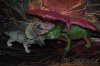 Dinosauři