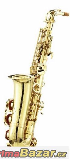 Prodám Alt saxofón Startone / C.Giant - celý set