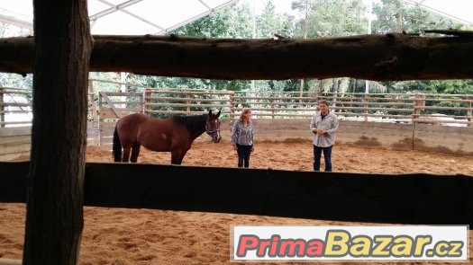 26. března  2017 neděle  HORSEMANSHIP 2 - kurz s Václavem Bo