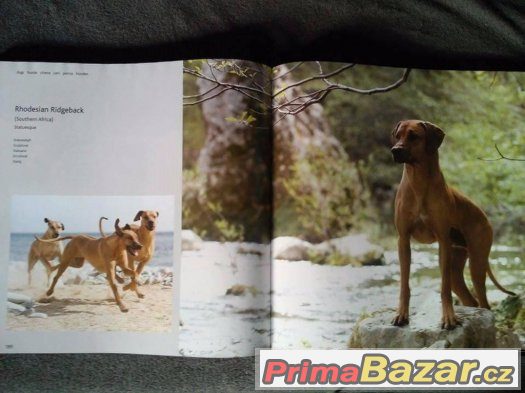 Fotokniha DOGS H-Z