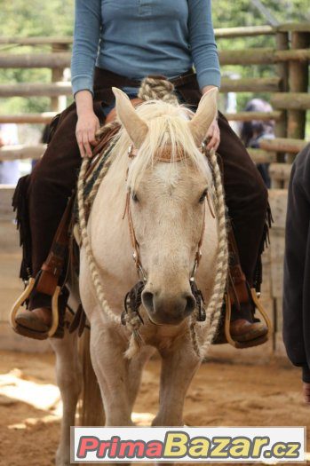 27. května 2917 - sobota - Horsemanship 3 kurz s Václavem Bo