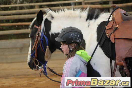 27. května 2917 - sobota - Horsemanship 3 kurz s Václavem Bo