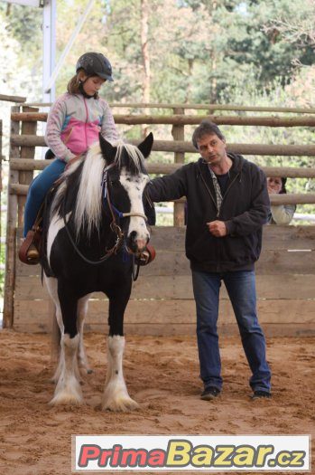 27. května 2917 - sobota - Horsemanship 3 kurz s Václavem Bo