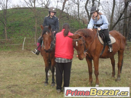 Výuka jízdy na koni, chovatelské potřeby