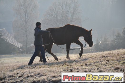 pastevni-ustajeni-v-chotevicich-kurz-horsemanshipu-25-2