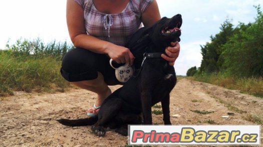 Malý Toby hľadá najlepšieho kamaráta Malý Toby hľadá najlepšieho kamaráta