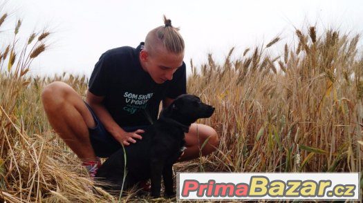 Malý Toby hľadá najlepšieho kamaráta Malý Toby hľadá najlepšieho kamaráta
