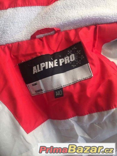 Zimní bunda alpine pro