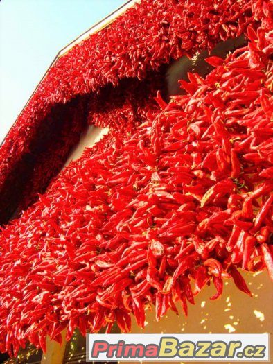 DOLNOZEMSKÁ PAPRIKA mletá červená paprika výjimečné kvality