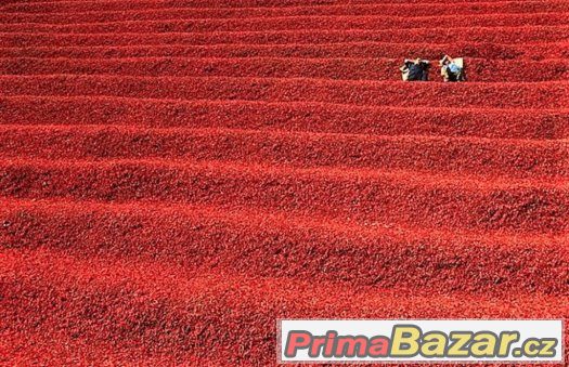 DOLNOZEMSKÁ PAPRIKA mletá červená paprika výjimečné kvality