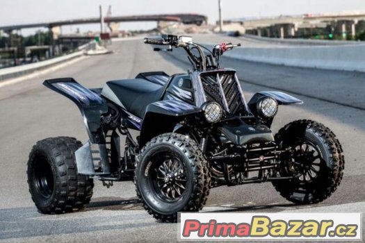 Koupím rám Yamaha Banshee 350