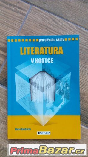 Literatura v kostce pro SŠ