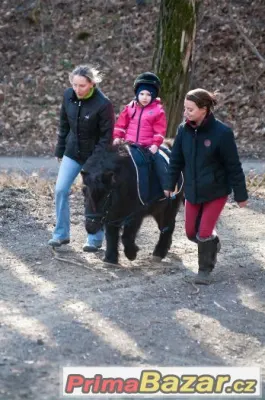 Prodám Holandskou kobylku ponika