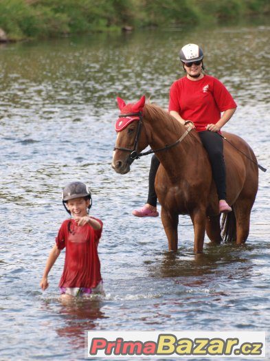 Prázdniny s koňmi v Ostravě