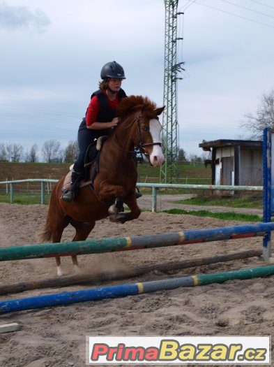 Přijímáme nové členy do Pony týmu