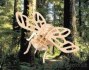 Dřevěné 3D puzzle dřevěná skládačka hmyz - Cikáda