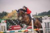 Pronájem s pozdějším odkupem koně po sportovní kariéře