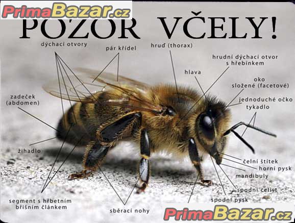 Luxusní hliníková bezpečnostní tabulka, POZOR VČELY!