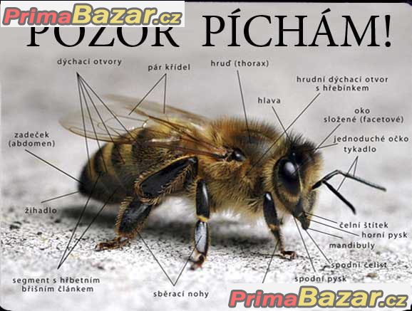 Luxusní hliníková bezpečnostní tabulka, POZOR PÍCHÁM! Luxusní hliníková bezpečnostní tabulka, POZOR PÍCHÁM!