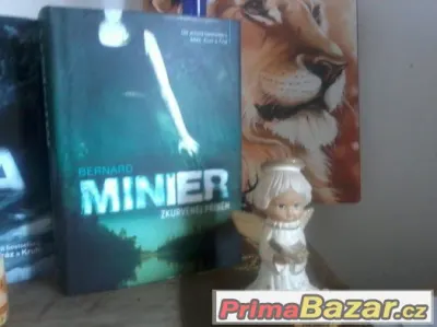 Bernard Minier - Zkurvenej příběh