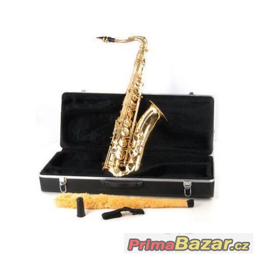 Prodám Tenor saxofón C.Giant - celý set