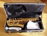 Prodám Alt saxofón Startone / C.Giant - celý set