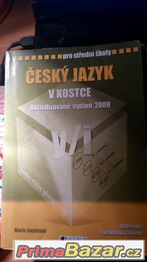 Český jazyk v kostce