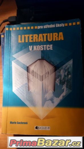 Literatura v kostce