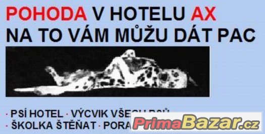 hlidani-psu-ubytovani-v-psim-hotelu-ax