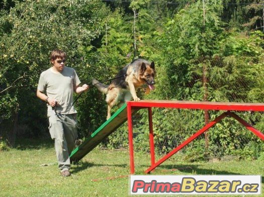 Výcvik všech plemen psů - cvičiště U Puntíků