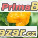 Chilli Trinidad Scorpion yellow - semena 23,- Kč