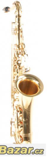 Prodám Tenor saxofón C.Giant - celý set