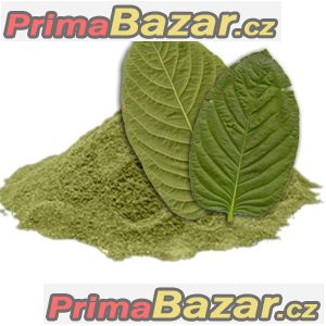 Kratom neboli Mitragyna speciosa