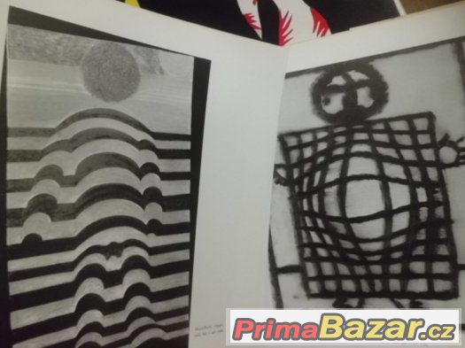 dvě staré knihy o malířích - Matisse, Vasarely dvě staré knihy o malířích - Matisse, Vasarely