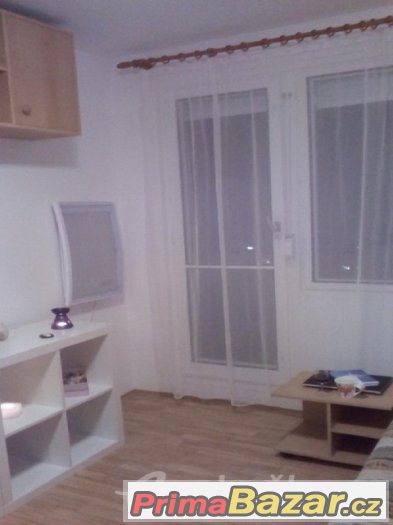 Byt 1+kk (17 m2), včetně spoluvlastnických podílů, Praha, Sl