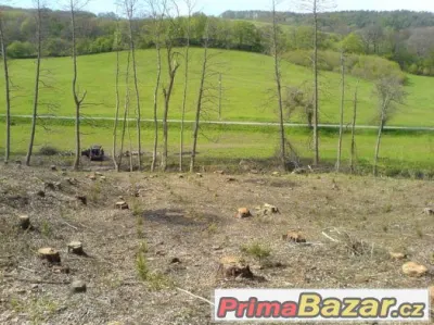 Prodej lesa k.ú Kańovice, 2422m² -, ev.č. 186