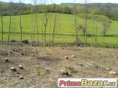 __INVESTICE__LES__ (: při rychlém jednání sleva :)