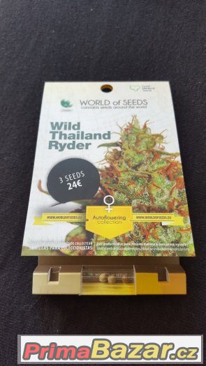 Prodám semena konopí - Wild Thailand Ryder