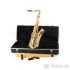 Prodám Tenor saxofón C.Giant - celý set