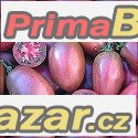 Rajče Purple Rusian plum - semena 14,- Kč